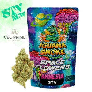 Flor Iguana Smoke Amnesia STV 20% 2GR